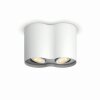 Philips Hue Pillar Ceiling Light LED white, 2-light sources, Remote control