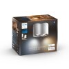 Philips Hue Pillar Ceiling Light LED white, 2-light sources, Remote control