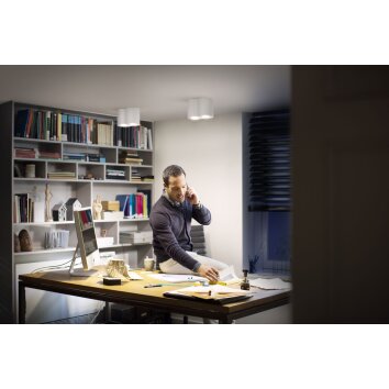 Philips Hue Pillar Ceiling Light LED white, 2-light sources, Remote control