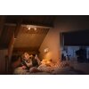 Philips Hue Runner Ceiling Light LED white, 2-light sources, Remote control