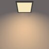Philips Touch SceneSwitch Ceiling Light LED black, 1-light source