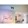 Philips WiZ IMAGEO Ceiling Light LED black, 2-light sources, Colour changer