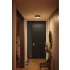 Philips Hue Enrave Ceiling Light LED black, 1-light source, Remote control