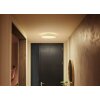 Philips Hue Enrave Ceiling Light LED white, 1-light source, Remote control