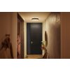 Philips Hue Enrave Ceiling Light LED black, 1-light source, Remote control