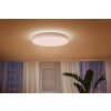 Philips Hue Enrave Ceiling Light LED white, 1-light source, Remote control