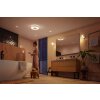 Philips Hue Xamento Ceiling Light LED white, 1-light source, Colour changer