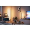 Philips Hue Gradient Signe Table lamp LED white, 1-light source, Colour changer