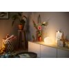 Philips Hue Flourish Table lamp LED white, 1-light source, Colour changer