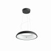 Philips Hue Amaze Pendant Light LED black, 1-light source, Remote control