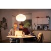 Philips Hue Flourish Pendant Light LED white, 1-light source, Colour changer