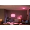 Philips Hue Flourish Pendant Light LED white, 1-light source, Colour changer