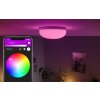 Philips Hue Flourish ceiling lamp LED white, 1-light source, Colour changer