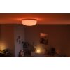 Philips Hue Flourish ceiling lamp LED white, 1-light source, Colour changer