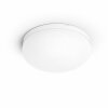 Philips Hue Flourish ceiling lamp LED white, 1-light source, Colour changer