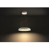 Philips Hue Amaze Pendant Light LED white, 1-light source, Remote control