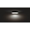 Philips Hue Fair Ceiling Light black, 1-light source, Remote control