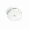 Philips Hue Fair Ceiling Light LED white, 1-light source, Remote control