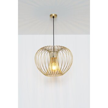 Holländer PROTETTO Pendant light gold, 1-light source