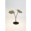 Holländer CONTROVERSA Table lampe LED brown, gold, black, 2-light sources