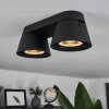 Especiosa Ceiling Light black, 2-light sources