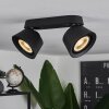 Especiosa Ceiling Light black, 2-light sources