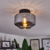 Gondim Ceiling Light Smoke-coloured, 1-light source