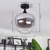 Azurara Ceiling Light clear, Smoke-coloured, 1-light source
