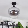 Azurara Ceiling Light clear, Smoke-coloured, 1-light source