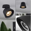 Especiosa Ceiling Light black, 1-light source