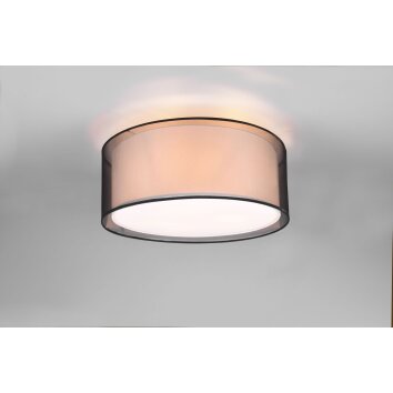 Trio Burton Ceiling Light black, 3-light sources