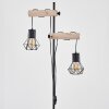 Bardhaman Floor Lamp Ecru, black, 2-light sources