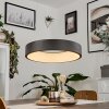 Areja Pendant Light LED black, white, 1-light source
