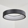 Areja Pendant Light LED black, white, 1-light source