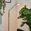 Huallilemu Floor Lamp LED antique brass, 1-light source