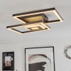 Serzedelo Ceiling Light LED black, 1-light source