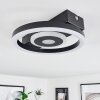 Canhoso Ceiling Light LED black, 1-light source