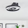 Canhoso Ceiling Light LED black, 1-light source