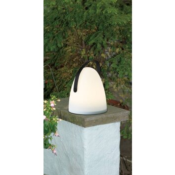 Eglo COLLIRADOS Table lamp LED black, 2-light sources