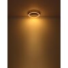 Globo LUFFY Ceiling Light LED gold, black, 1-light source