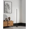 Eglo PICACHA Floor Lamp LED black, 1-light source, Remote control
