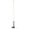 Eglo PICACHA Floor Lamp LED black, 1-light source, Remote control