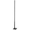 Eglo PICACHA Floor Lamp LED black, 1-light source, Remote control