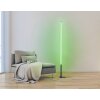 Eglo PICACHA Floor Lamp LED black, 1-light source, Remote control, Colour changer