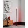 Eglo PICACHA Floor Lamp LED black, 1-light source, Remote control, Colour changer