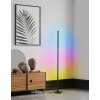 Eglo PICACHA Floor Lamp LED black, 1-light source, Remote control, Colour changer