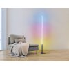 Eglo PICACHA Floor Lamp LED black, 1-light source, Remote control, Colour changer