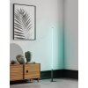 Eglo PICACHA Floor Lamp LED black, 1-light source, Remote control, Colour changer