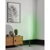 Eglo PICACHA Floor Lamp LED black, 1-light source, Remote control, Colour changer
