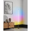 Eglo PICACHA Floor Lamp LED black, 1-light source, Remote control, Colour changer